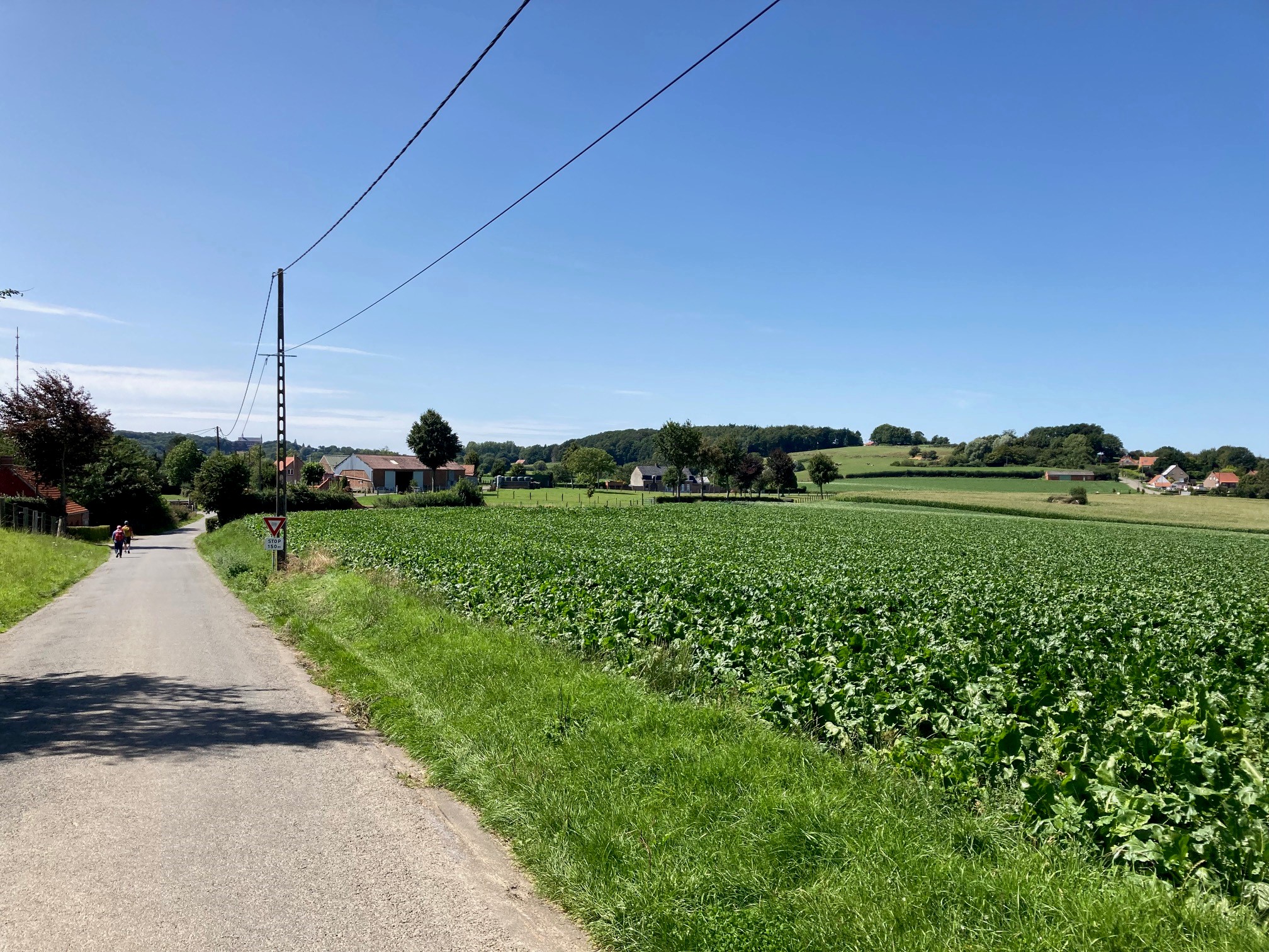 Foto fietsrit 10