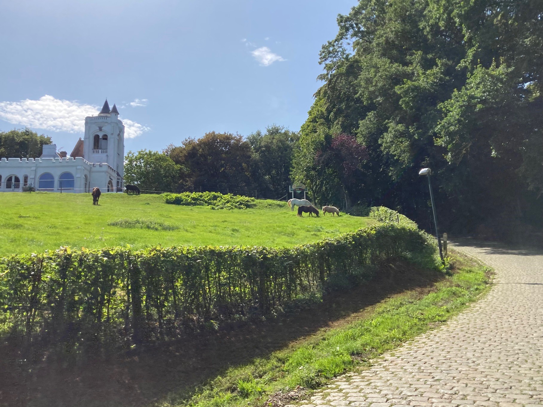 Omgeving vakantiewoning 2