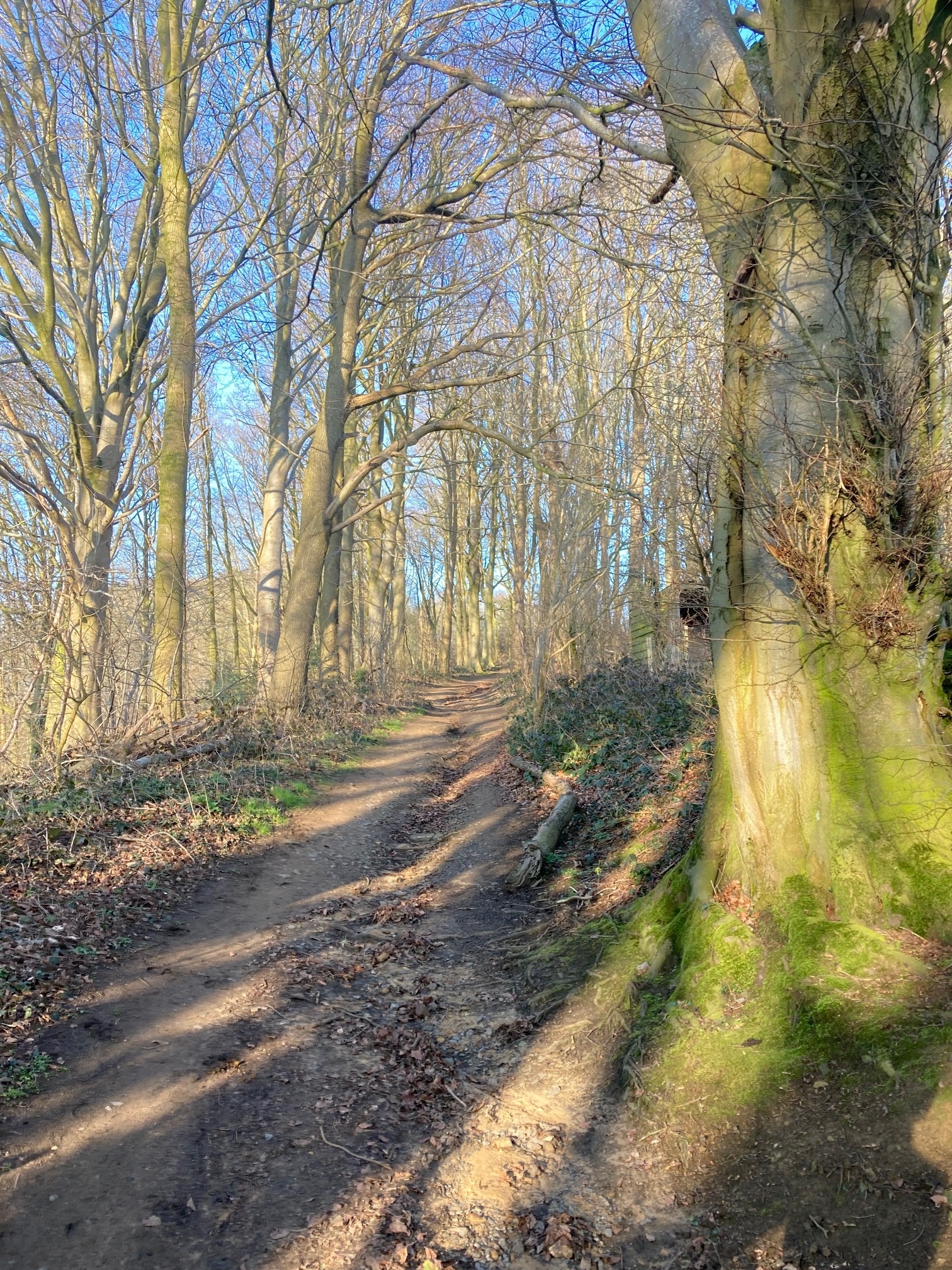 Foto tijdens fietsrit  2