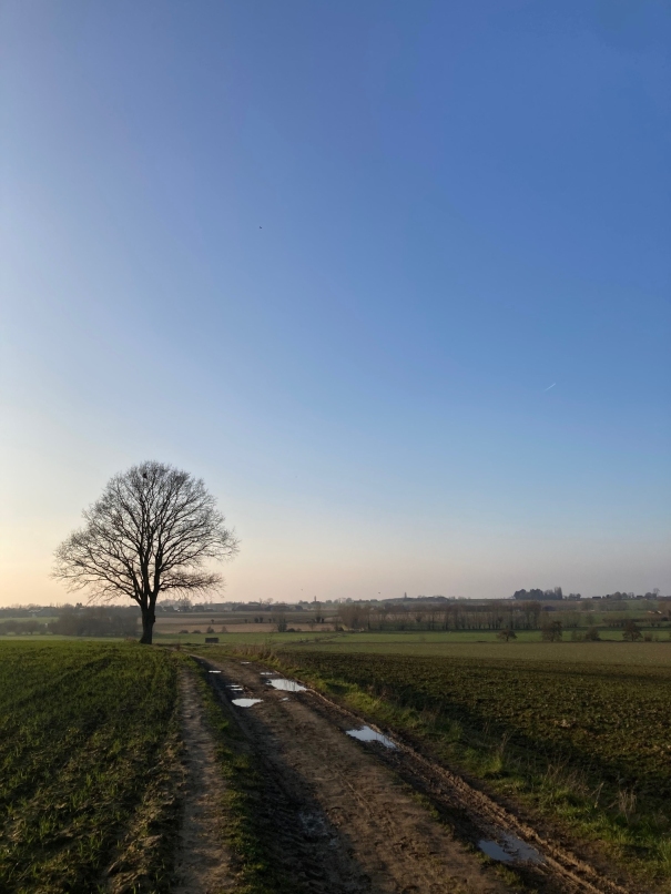 Foto tijdens fietsrit  5