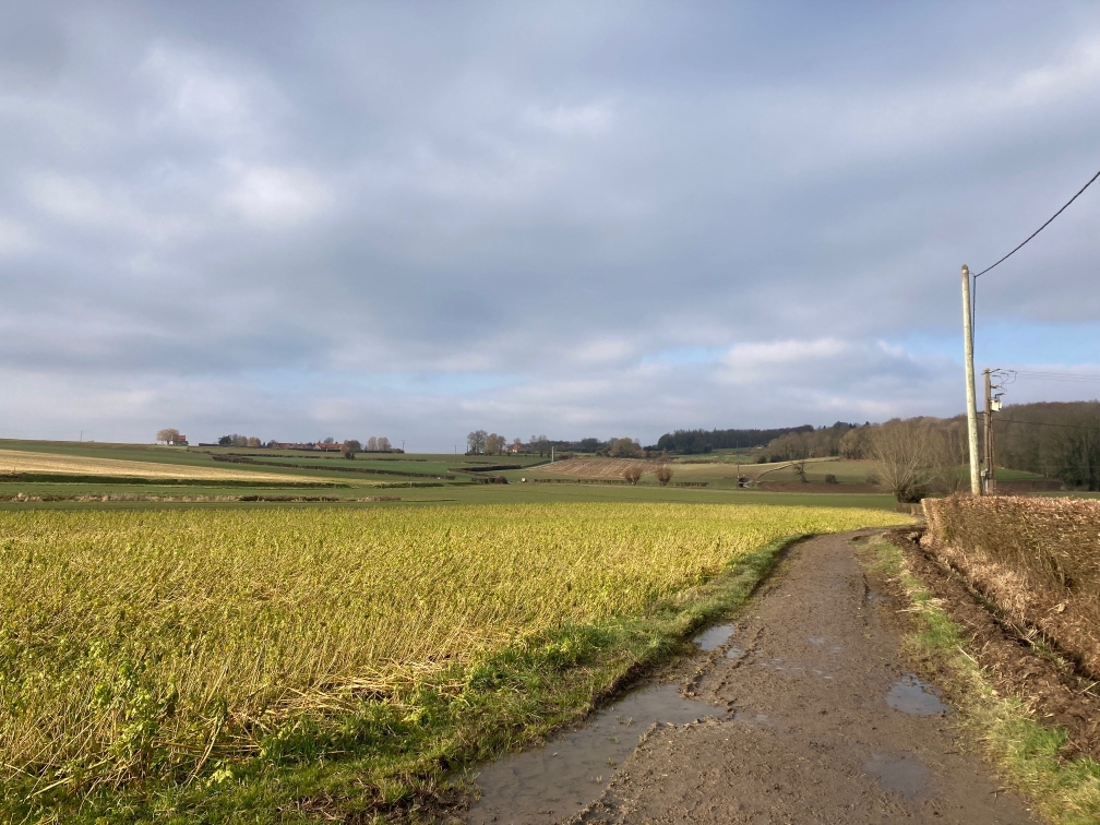 Foto tijdens fietsrit  10