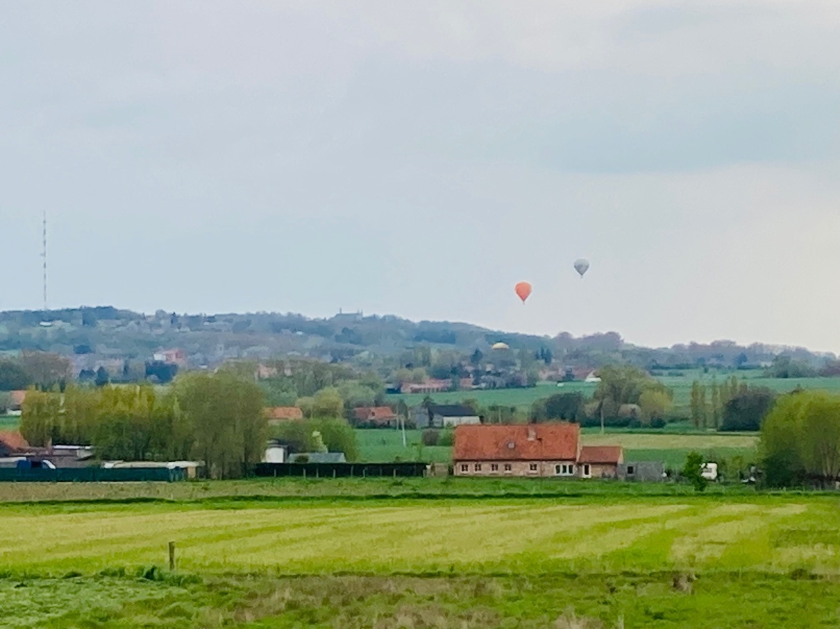 Vakantiewoning Poperinge Landschap